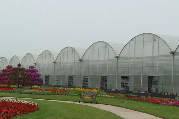 無土栽培，無土栽培技術(shù)，無土栽培設(shè)備