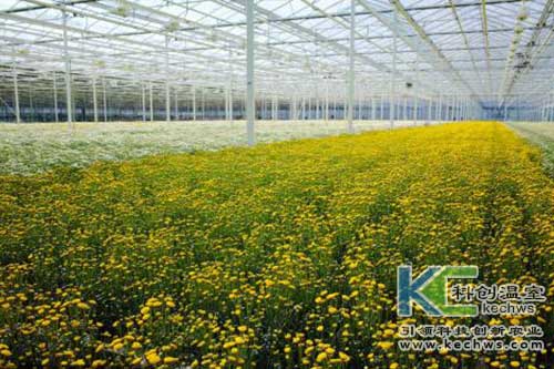 無土栽培，無土栽培技術，無土栽培設備