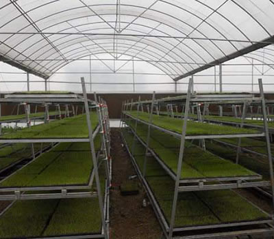 無土栽培，無土栽培技術，無土栽培設備