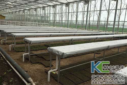 無土栽培，無土栽培技術(shù)，無土栽培設(shè)備