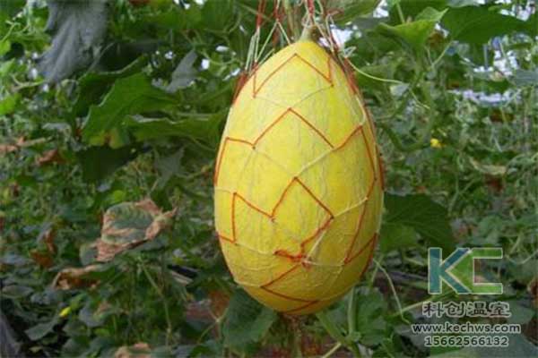 無土栽培，無土栽培技術，無土栽培設備