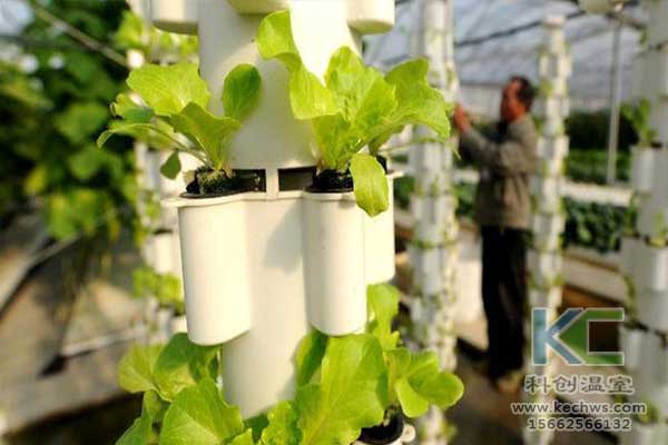 無土栽培，無土栽培技術