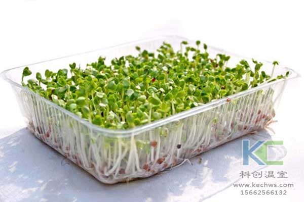 無土栽培，無土栽培基質