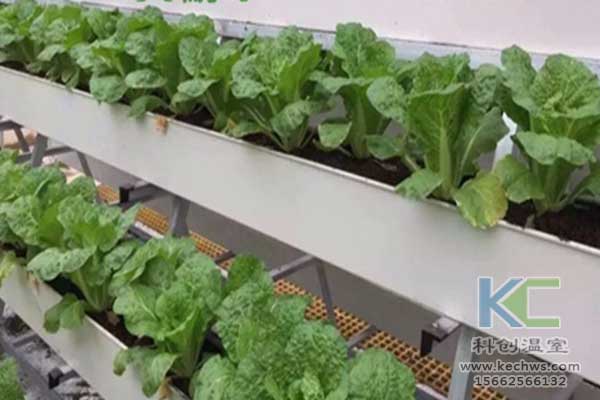 無土栽培，無土栽培技術(shù)