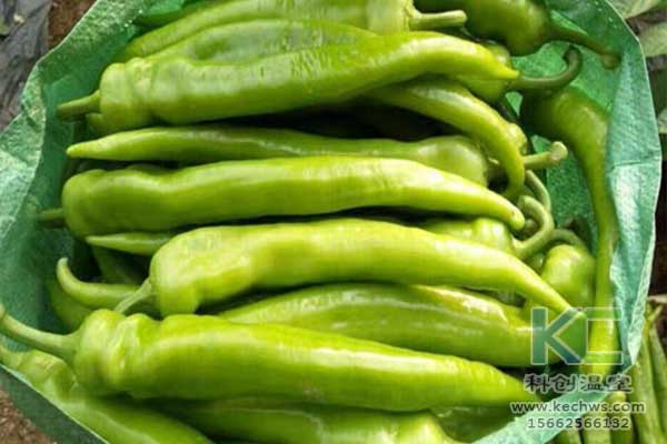 無土栽培，無土栽培基質(zhì)