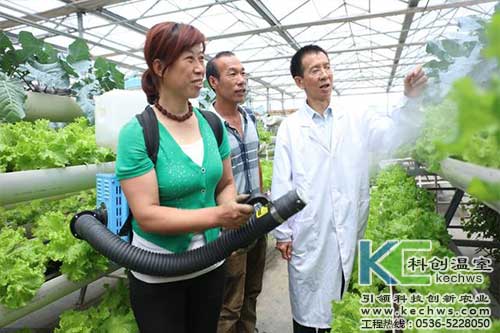 無土栽培，無土栽培技術，無土栽培設備