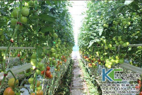 無土栽培，無土栽培技術，無土栽培設備