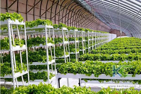 無土栽培，無土栽培技術，無土栽培設備