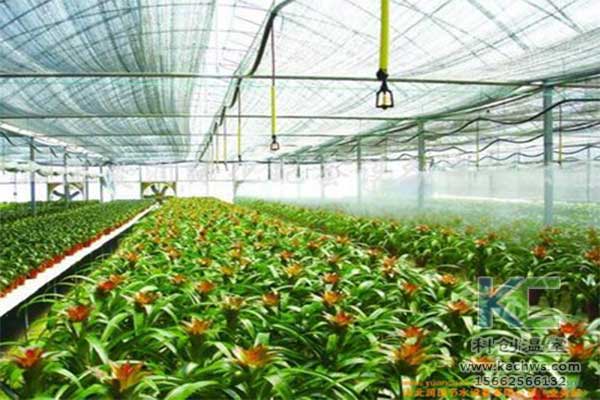 無土栽培，無土栽培技術，無土栽培設備
