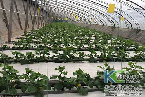 無土栽培，無土栽培技術，無土栽培設備