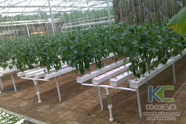 無土栽培，無土栽培技術，無土栽培設備