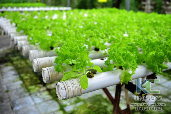 有機生態(tài)型無土栽培，無土栽培技術，無土栽培設備，無土栽培