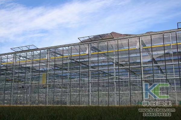 無(wú)土栽培，無(wú)土栽培技術(shù)，無(wú)土栽培設(shè)備