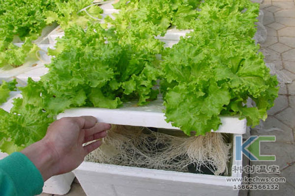 無土栽培技術，休閑農業，無土栽培，溫室大棚