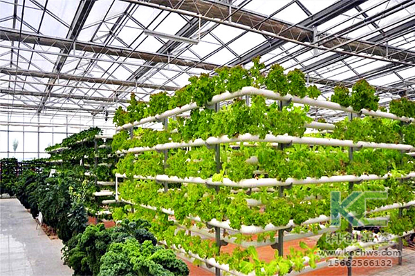 無土栽培，無土栽培技術，無土栽培設備