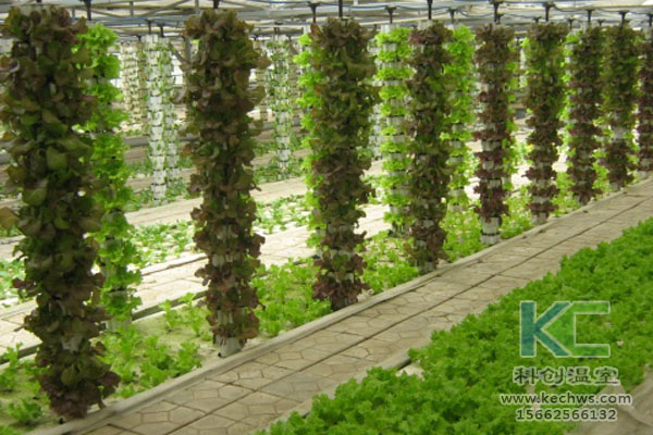 無土栽培，無土栽培技術，無土栽培設備
