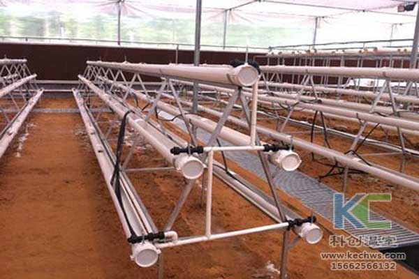 無土栽培技術(shù)，無土栽培設(shè)備，魚菜共生，溫室大棚