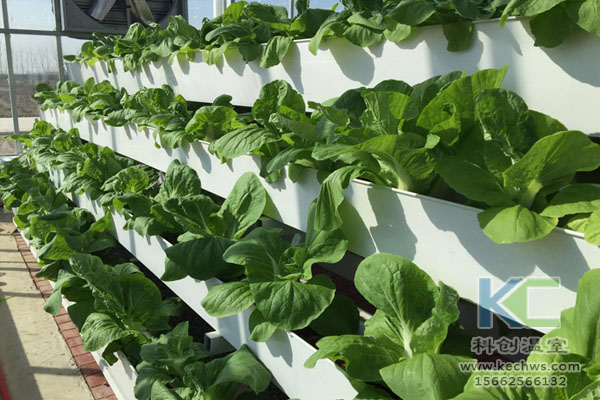 無土栽培，無土栽培技術，無土栽培設備