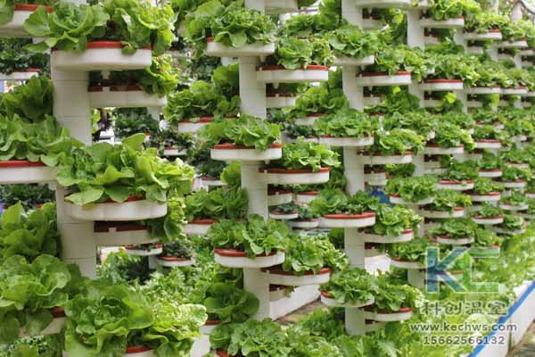 無土栽培技術(shù)，無土栽培設(shè)備，無土栽培，溫室大棚