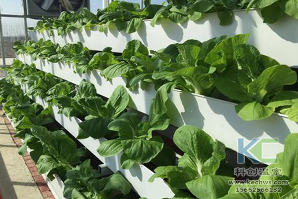 蔬菜無土栽培，無土栽培技術，無土栽培設備，無土栽培