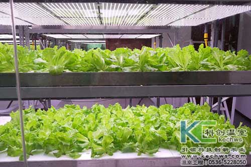 無土栽培，無土栽培技術，無土栽培設備