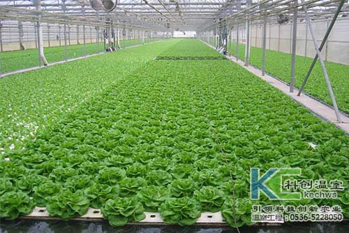 無土栽培，無土栽培技術，無土栽培設備