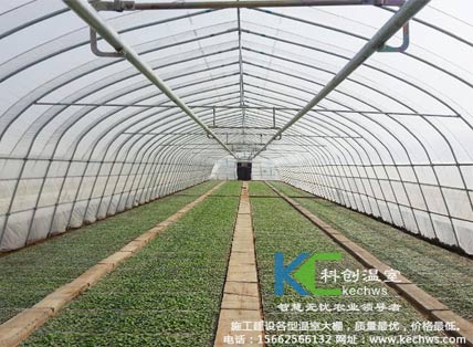 無土栽培，無土栽培技術，無土栽培設備