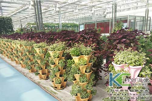 無(wú)土栽培，無(wú)土栽培技術(shù)，無(wú)土栽培設(shè)備