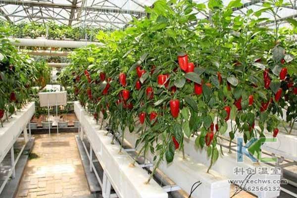 無土栽培，無土栽培技術(shù)，無土栽培設(shè)備