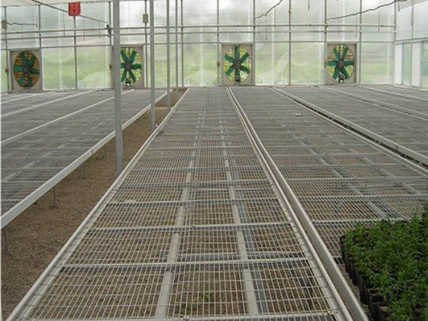 無土栽培,無土栽培技術(shù),無土栽培設(shè)備