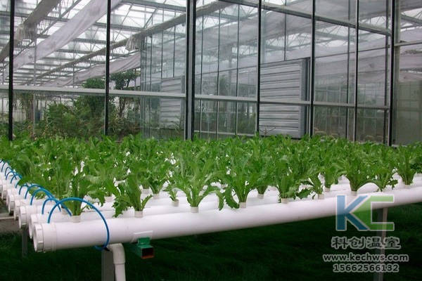 無土栽培,無土栽培技術(shù),無土栽培設(shè)備