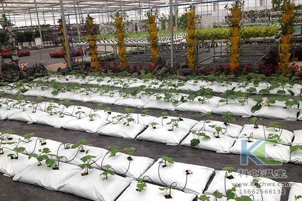 無土栽培，無土栽培技術，無土栽培設備