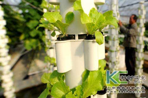 無土栽培，無土栽培技術，無土栽培設備