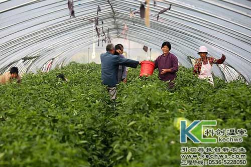 無土栽培，無土栽培技術(shù)，無土栽培設(shè)備