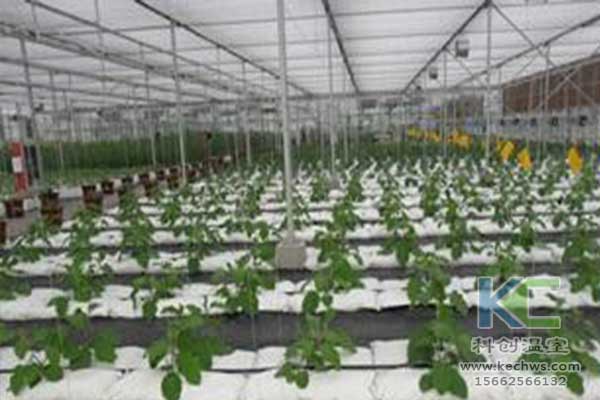 無土栽培，無土栽培技術