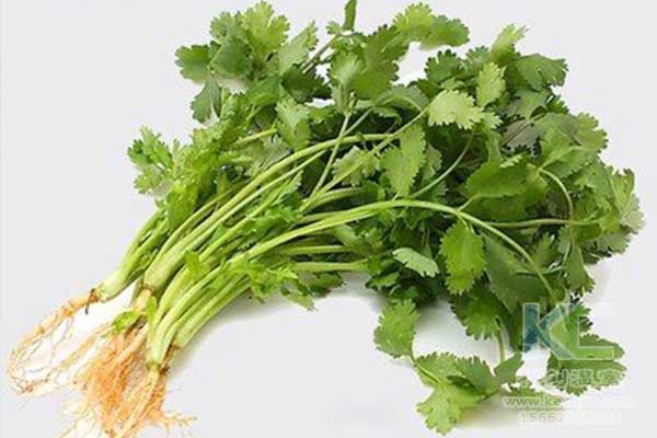 無土栽培，無土栽培技術(shù)