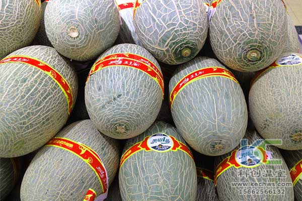 無土栽培，無土栽培技術(shù)，無土栽培設(shè)備