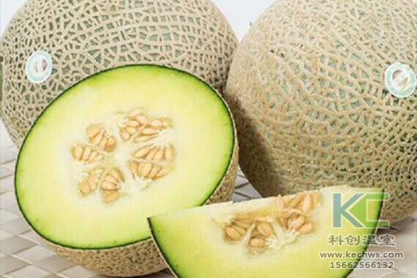 無土栽培，無土栽培技術，無土栽培設備