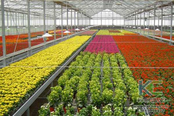 無土栽培，無土栽培技術，無土栽培設備