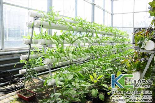 無土栽培，無土栽培技術(shù)，無土栽培設(shè)備
