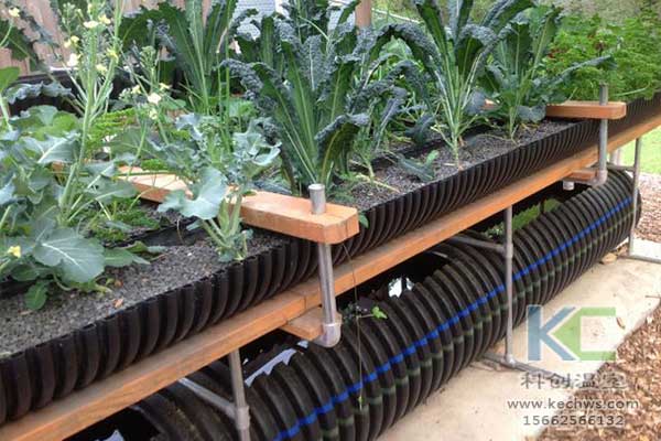 無土栽培，無土栽培技術，無土栽培設備