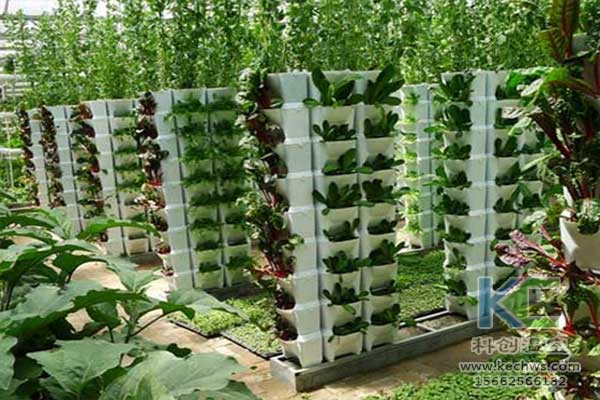 無(wú)土栽培，無(wú)土栽培技術(shù)，無(wú)土栽培設(shè)備