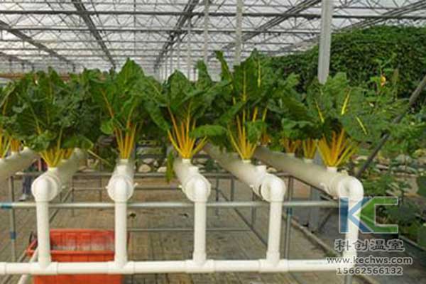 無土栽培，無土栽培技術，無土栽培設備