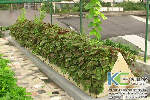 無土栽培，無土栽培技術，無土栽培設備