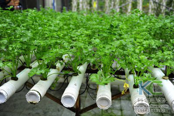 無土栽培，無土栽培技術，無土栽培設備