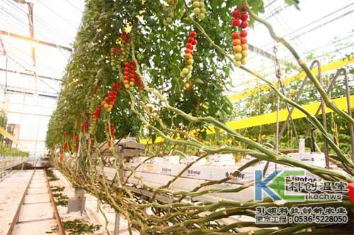 無土栽培，無土栽培技術，無土栽培設備