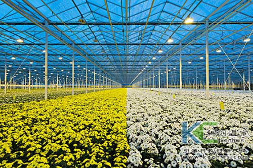 無土栽培，無土栽培技術，無土栽培設備