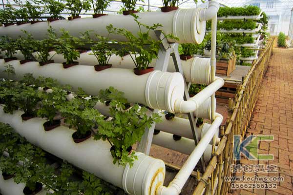 無(wú)土栽培，無(wú)土栽培基質(zhì)