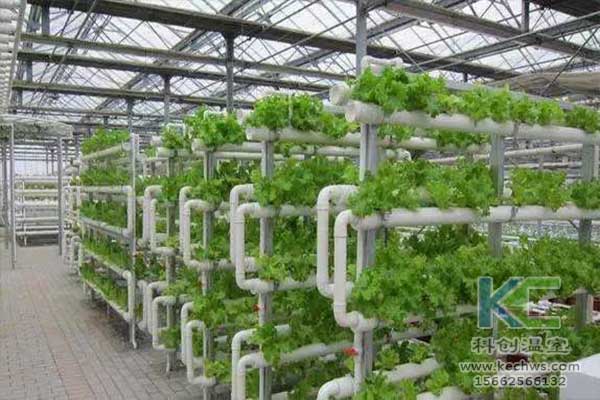 無土栽培，無土栽培技術(shù)，無土栽培設(shè)備