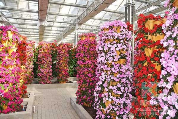 無土栽培，無土栽培技術，無土栽培設備